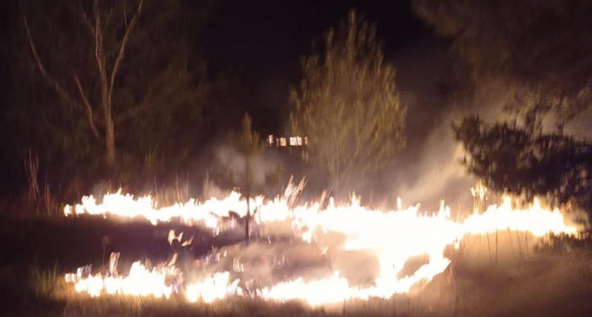 В Мордовии потушили пожар в 20 метрах от леса